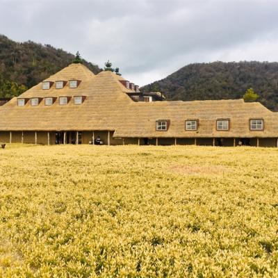 大阪京都旅遊｜米其林星級伊根灣舟屋.天橋立升天之龍奇景.清水寺.伏見稻荷大社.梅花鹿公園.童話甜點屋.近江八幡散策五日