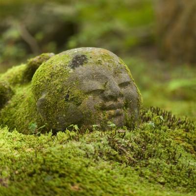 TTE旅展神戶包機│2025年日本世界博覽會│達摩勝尾寺.秘境三千院.雪白姬路城.元離宮二條城.日本環球影城六日