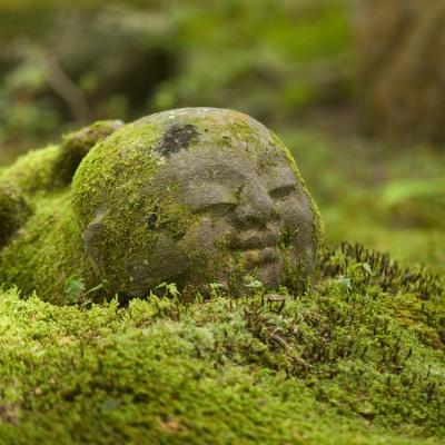 ITF旅展優惠價｜關西京阪奈｜山林祕境三千院.邂逅奈良萌鹿.清水寺.宇治平等院.伏見稻荷大社.大阪城公園.遊船五日