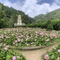 南投旅遊｜杉林溪森林遊樂區～四季花季.採果樂..杉林溪主題會館1泊2食二日｜高雄台南出發