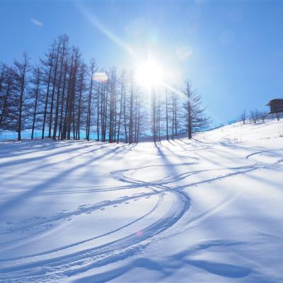 【主題旅遊】FUN_SKI滑雪趣－北海道自然風情富良野滑雪五日遊