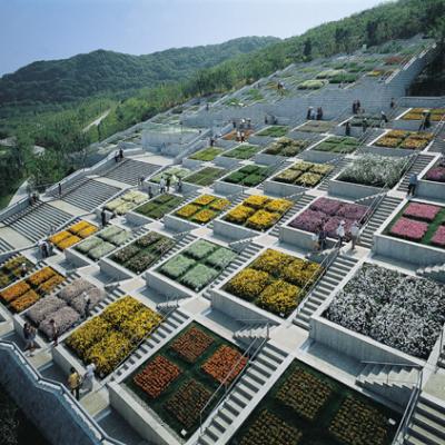 客製｜大阪四國~淡路島.小豆島.直島草間彌生南瓜.安藤忠雄博物館迷你小團五日【專屬包車】※不含機票