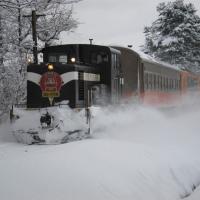 寒假折$2000|東北八甲田樹冰纜車.津輕暖爐列車.猊鼻溪屋形暖桌遊船.全程溫泉.無自理餐.美食五日|仙青雙點進出