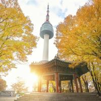 過年賀歲折3,000｜首爾｜住希爾頓逸林酒店.住明洞自由逛.新春團圓餐.人氣滑雪.南怡島雪境.登上首爾塔.紓壓汗蒸幕五日