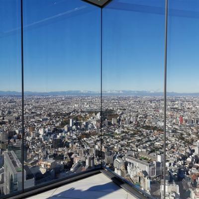 ITF旅展優惠｜東京旅遊｜台灣虎航｜迪士尼.涉谷SKY展望台.山中湖遊船.採草莓.御殿場OUTLET.台場五日｜高雄來回