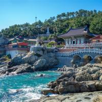 高雄出發｜釜山旅遊｜入住五星溫德姆.鋼鐵藝術村.夜遊名仙島.鯨魚文化村.海雲台海濱列車.海景汗蒸幕(一站購物彩妝)五日