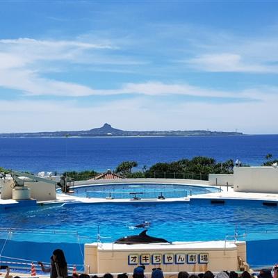 女王搶購.沖繩旅遊｜美麗海水族館~海豚秀.萬座毛.首里城跡.希臘風瀨長島.一日自由活動四日｜台中出發