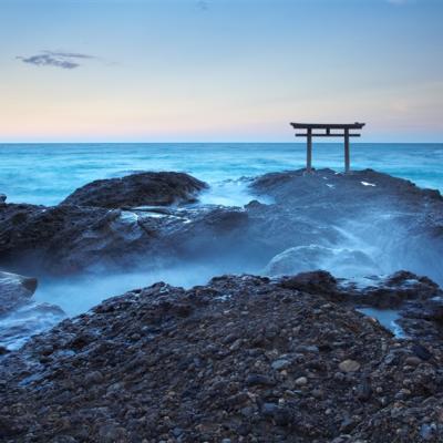 東京旅遊｜日立海濱公園.絕美海上鳥居.迪士尼樂園.豐洲千客萬來.OUTLET四日【茨城】
