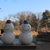 參團免小費｜首爾旅遊｜滑雪體驗.採果樂.抱川藝術谷.逛明洞_弘大_東大門五日