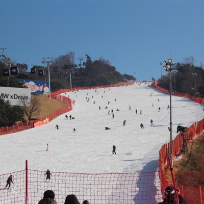 寒假特惠｜韓冬滑雪｜樂天世界.戶外滑雪體驗.舒暢汗蒸幕.景福宮韓服體驗.書卷氣息圖書館五日｜台中出發