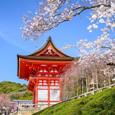 春櫻大阪旅遊｜特選團｜日本環球影城瑪利歐.醍醐寺.哲學之道.紀三井寺.黑潮市場五日｜螃蟹吃到飽｜高雄來回