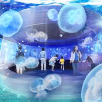 關西好康推薦｜京阪奈三大主題～京都水族館.京都鐵道博物館.環球影城.二條城.奈良梅花鹿.春日大社五日｜一晚京都五星飯店