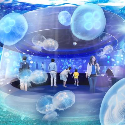 關西好康推薦｜京阪奈三大主題～京都水族館.京都鐵道博物館.環球影城.二條城.奈良梅花鹿.春日大社五日｜一晚京都五星飯店