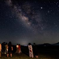 花東旅遊│火車來回│部藍夜光巴士．花季饗宴．藍皮解憂號火車3日│大人囝仔