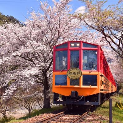 大阪旅遊｜春櫻京阪奈~日本環球影城瑪利歐.嵐山小火車.哲學之道.和服體驗五日｜環球旁飯店｜高雄來回