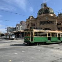 揪團248~墨爾本旅遊│淘金鎮、古董蒸汽火車、企鵝夜歸巢、大洋路、品酒8日