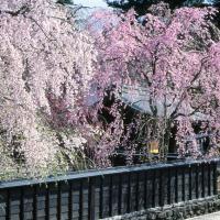 輕奢旅│東北賞櫻百選名景弘前公園．日本街道百選十和田市官廳街通駒街道．秘湯強首溫泉．三鐵道7日