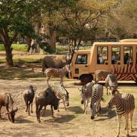 峇里島｜同樂峇里、SAFARI動物園、山林秘境、獨棟泳池VILLA(兩人成行)