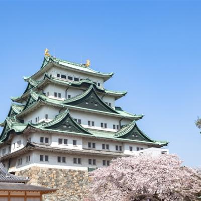 客製｜名古屋東京雙城遊~名古屋城.熱田神宮.富士野生動物園.河口湖迷你小團7日【天天出發/專屬包車】※不含機票