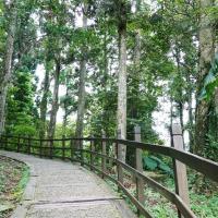 北桃旅遊｜百大亮點｜慈湖紀念公園.東眼山國家森林區.福華渡假飯店晚餐二日｜中部出發