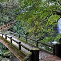 新北旅遊｜走入山林~三峽滿月圓森林遊樂區森呼吸.白雞行修宮.新北客家文化園區1日