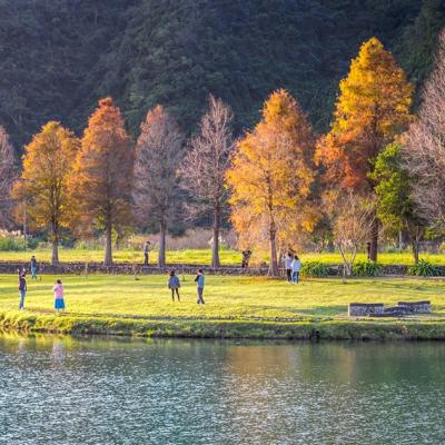 宜蘭旅遊｜四季好拍蜊埤湖.南方澳漁港.珍奶文化館.羅東運動公園落羽松一日