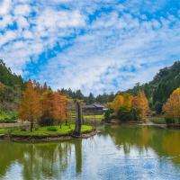 入住明池山莊│武陵農場櫻花季│第二人折500~新年山上走春．漫步仙境宜蘭二日