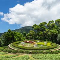 雙北旅遊｜陽明山花季、金瓜石公園、無敵海景步道、烏來賞櫻、九份老街、雙五星酒店三日遊｜高雄台南出發