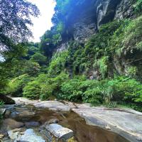 迎春折$300｜台北旅遊｜姜子寮絕壁步道.康誥坑溪.烘爐地賞櫻花二日｜中部出發