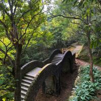 宜蘭旅遊|拱北殿賞楓紅．羅東落羽松祕境．採金棗．特色金棗餐1日|大人囝仔