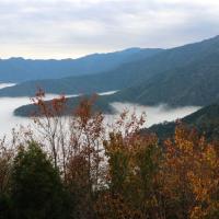 新竹旅遊【天天出發.一人成行】雪霸休閒農場.雲端上的觀霧.雲霧步道.野馬瞰山2日｜台中出發