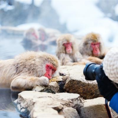 獨家玩北陸|地獄谷雪猴.新穗高雪迴廊.合掌村.日本國寶城-松本城.善光寺.高山老街.玩雪.3晚溫泉.喜來登福朋六日