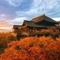 客製｜京都奢華馥頌酒店x星野虹夕諾雅x米其林餐雙饗宴迷你小團五日【專屬包車】(天天出發)※不含機票