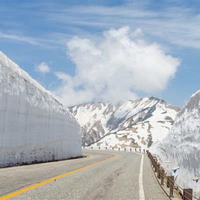 北陸雪牆企劃｜黑部立山.合掌村.兼六園.上高地.犬山城.三光稻荷神社5日｜贈送金箔冰.鰻魚三吃.涮涮鍋吃到飽