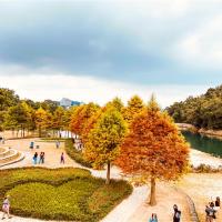 南投旅遊｜向山絕美落羽松.雙心花園.漫遊水社.陶的故鄉~水里蛇窯1日｜高雄出發