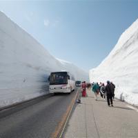 北陸旅遊｜台灣虎航名古屋｜立山雪牆物語～立山黑部.仙境上高地.伊勢神宮.伊勢龍蝦美食溫泉六日｜保住白川結之庄｜高雄來回