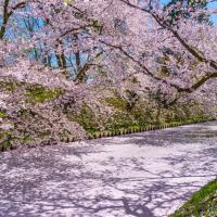 春櫻東北旅遊|星野集團飯店.百選溫泉~南三陸觀洋.北上展勝地.弘前公園.奧入瀨溪流.藤原之鄉.嚴美溪.弘南鐵道五日