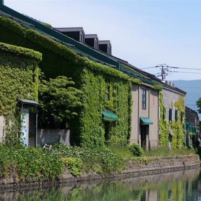 限定北海道旅遊｜全程無自理餐.北海道神宮.洞爺湖.昭和新山.小樽漫遊.溫泉五日｜保住一晚溫泉