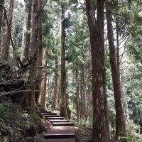 大東北角｜宜蘭旅遊.太平山森林浴.原始林步道.全球最美見晴步道一日｜大人囝仔