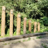 嘉義旅遊｜步道健行｜柳杉鐵道.特富野古道.阿里山森林樂園.阿里山園區住宿二日｜中部出發
