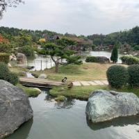 彰化｜台灣優格餅乾學院.澄霖味道森林館.庶民美食～鹿港老街一日｜高雄出發