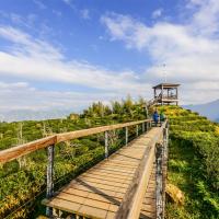 南投旅遊｜大崙山迎接2025第一道曙光～超壯觀雲海.茶二指喝茶去.溪頭森呼吸.紫南宮祈福求財.福華二日