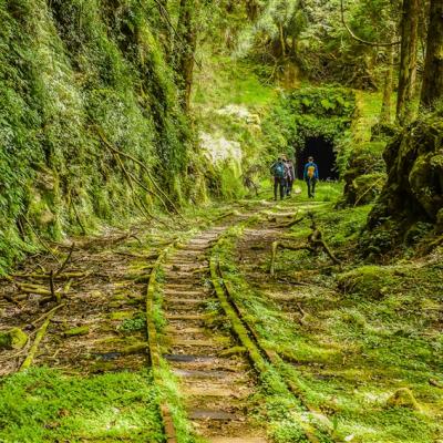 嘉義旅遊｜漫步眠月線.免睡帳篷.賓士包車到府接送二日｜六人成行