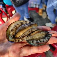 宜蘭旅遊｜每日限額福山植物園．卯澳鮑魚明蝦海鮮．拱北殿古廟．捷絲旅溫泉2日｜大人囝仔