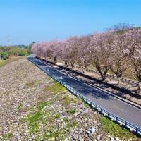 台南旅遊｜香榭大道南洋櫻．白河林初埤．五星桂田酒店阿力海晚餐二日｜中部出發