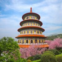 雙北旅遊｜淡水天元宮賞櫻.北投三層崎百花爭艷.1月訪珊瑚貝殼廟.2-3月訪新北最大百年梯田1日