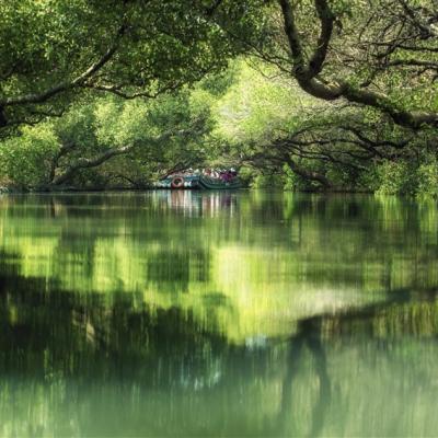 台南旅遊｜四草綠色隧道.安平老街.藍晒圖文創園區一日｜高雄出發