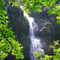 南投旅遊｜【大人囝仔.茶職人體驗】杉林溪森林遊樂區.遊山茶訪.上福裕茶園二日｜高雄台南出發