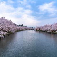 【主題旅遊】2025青森櫻花馬拉松5日(保證名額)