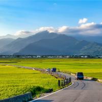 2025金蛇迎春.豪情花東山海戀.火車三日